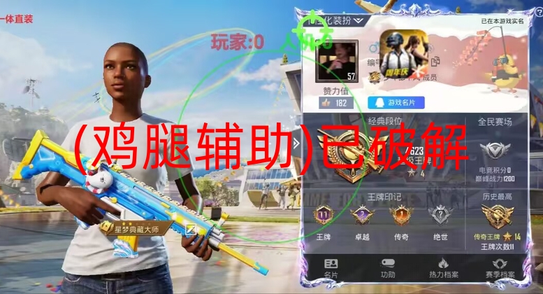 (鸡腿辅助)已破解