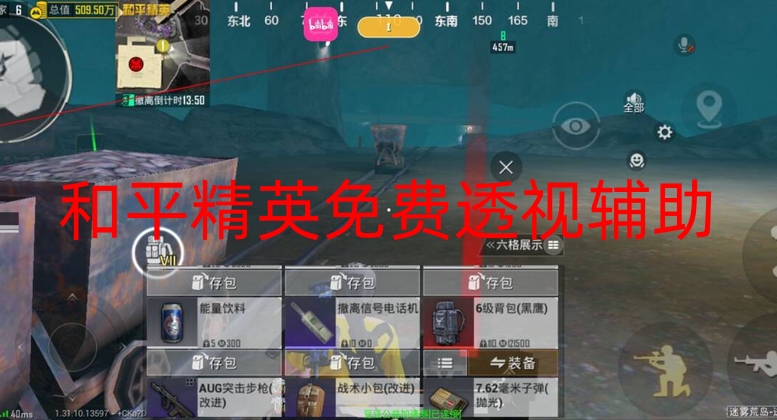 和平精英免费透视辅助：游戏作弊工具的真相